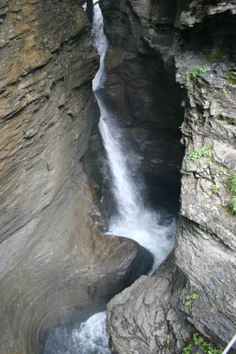 IMG_2455.jpg