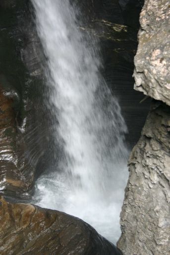 IMG_2458.jpg