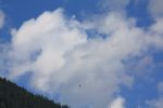 IMG_0393.JPG