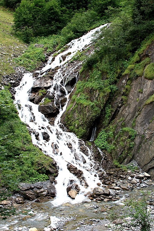DPP_020.JPG