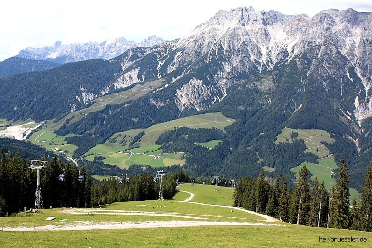 DPP_028.JPG