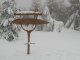 IMG_2100.JPG
