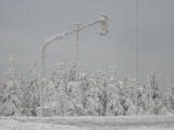 IMG_2139.JPG